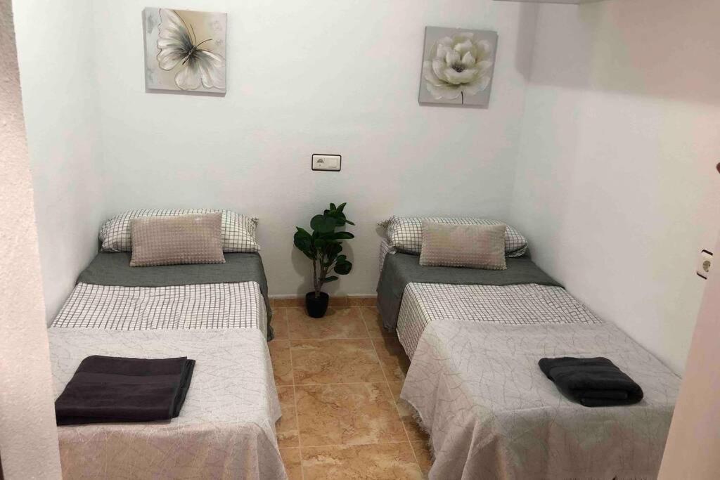 Acogedor Apartamento Con Piscina Cerca A La Playa Apartment Torrevieja Exterior photo