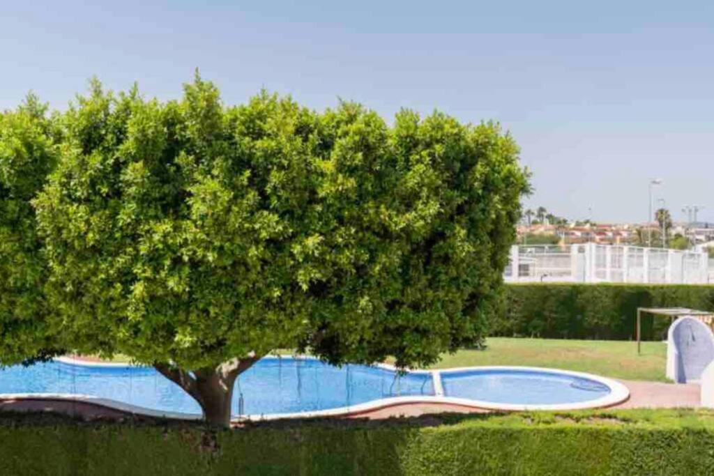 Acogedor Apartamento Con Piscina Cerca A La Playa Apartment Torrevieja Exterior photo